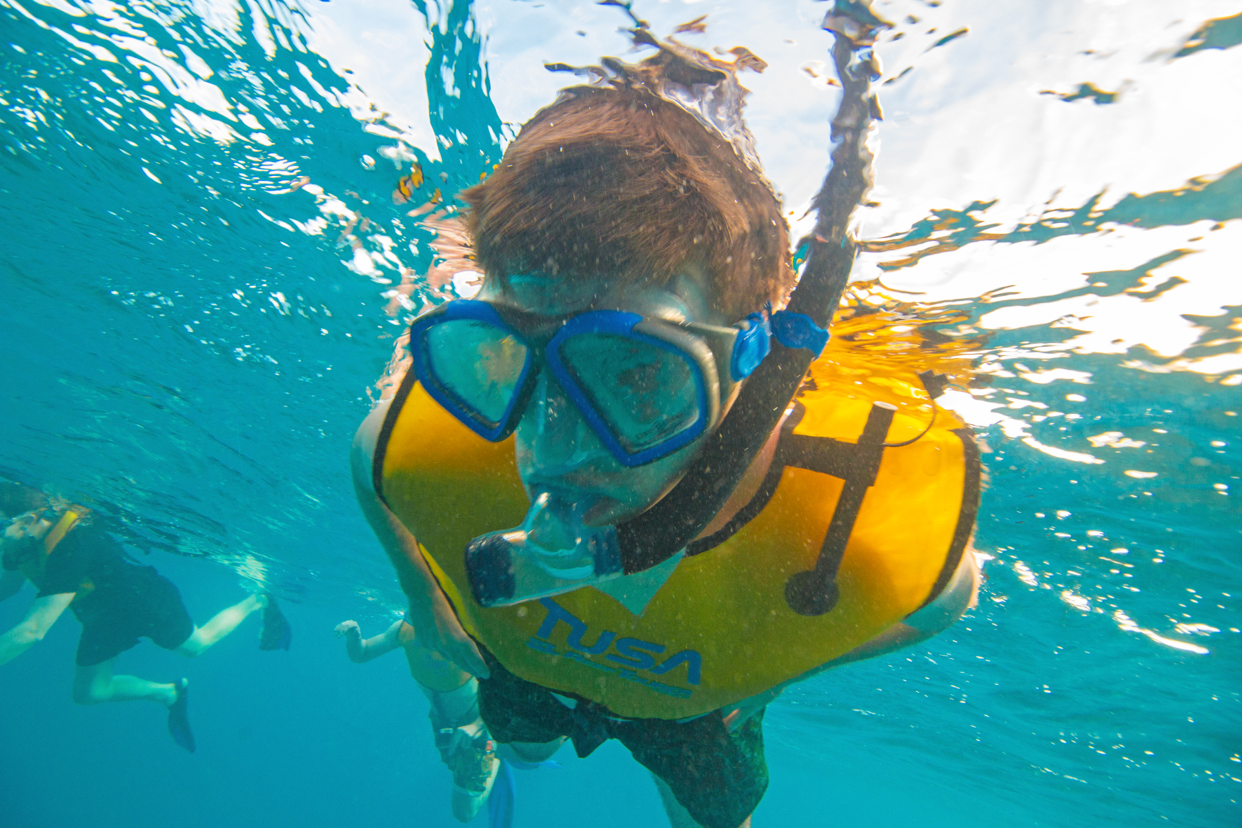 snorkeling in waikiki on guided tour