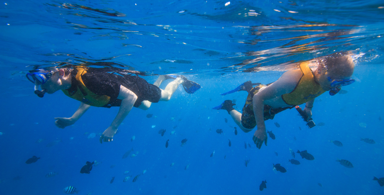kids snorkeling in waikiki on tour with living ocean tours