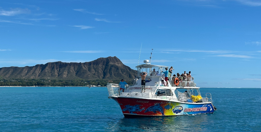 group on whale watching boat cruise in ohau