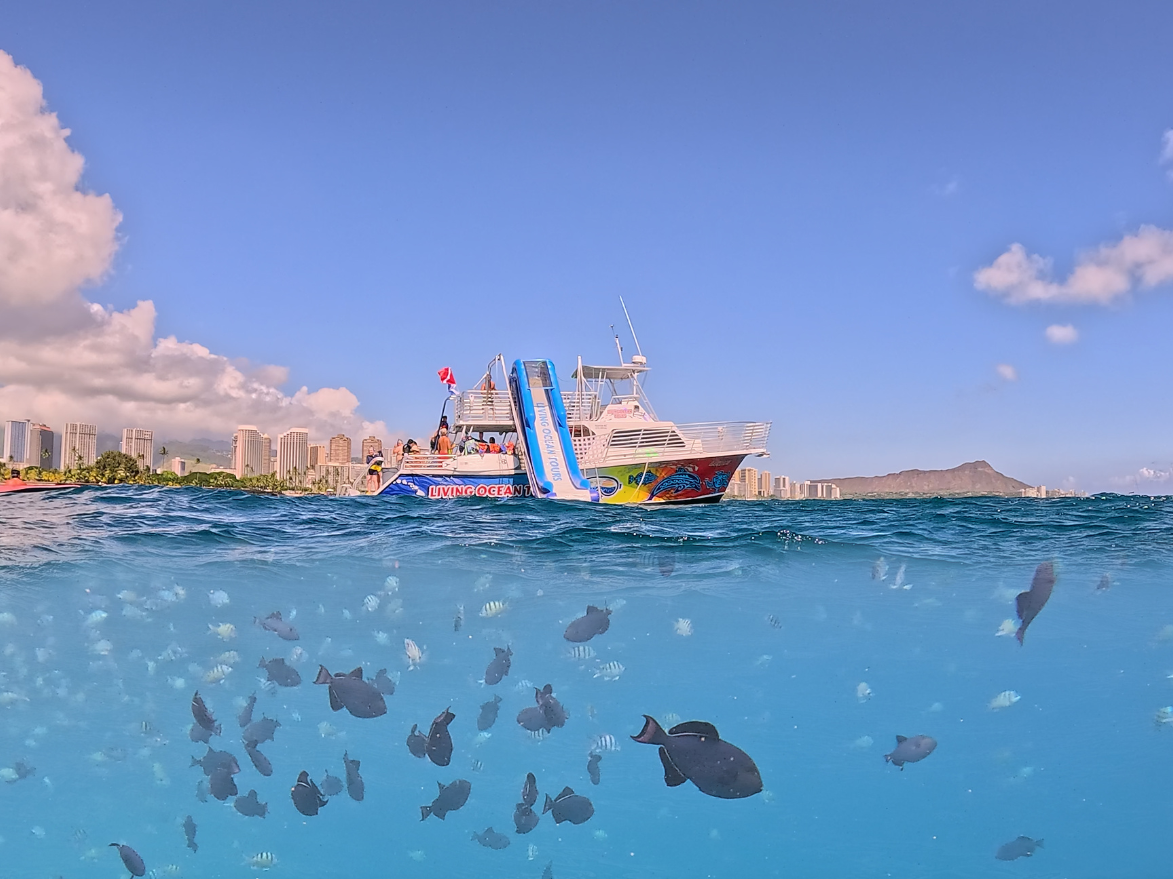 double decker boat with waterslide in ohau with fish