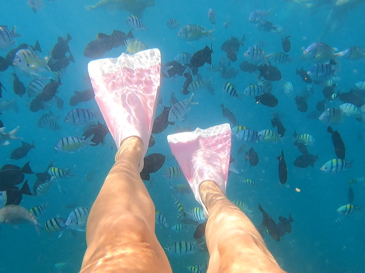 woman swimming with flippers in a school of fish off on a snorkel tour oahu