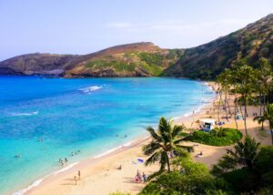 the beach and palm trees at Hanauma Bay in Oahu