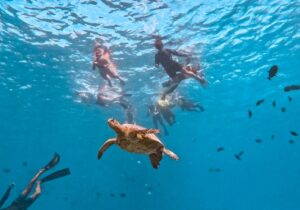 people beginner snorkeling in Oahu