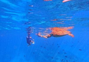 people in the ocean snorkeling in Oahu for beginners