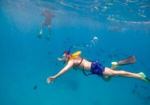 person underwater with the best snorkeling gear provided by living ocean