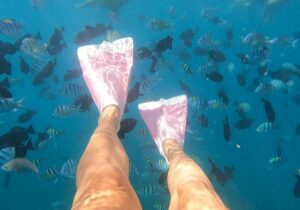 persons legs with snorkel fins in the water