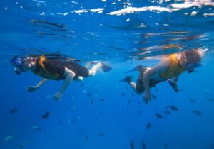two people in the water at Hanauma Bay snorkeling with fish