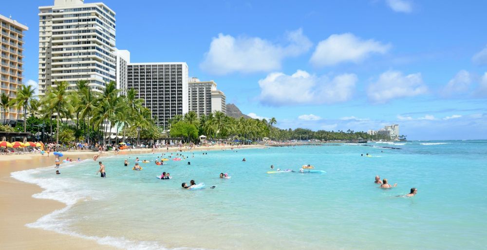people swimming at Waikiki Beach with high rise buildings in the background